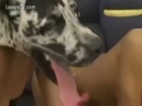 [ Beastiality XXX and Animal Sex ] Japanese have three some with Dalmatian